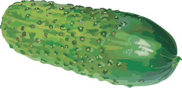 cucumber